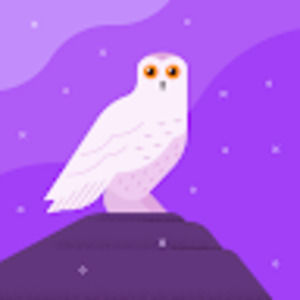 Meet your Posher, Irina